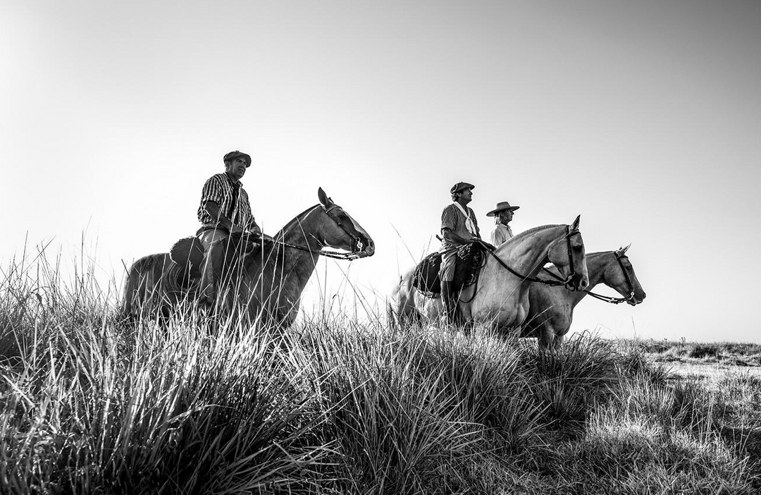 Frontier: Cowboys of the Americas - Limited Edition