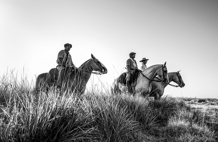 Frontier: Cowboys of the Americas - Limited Edition