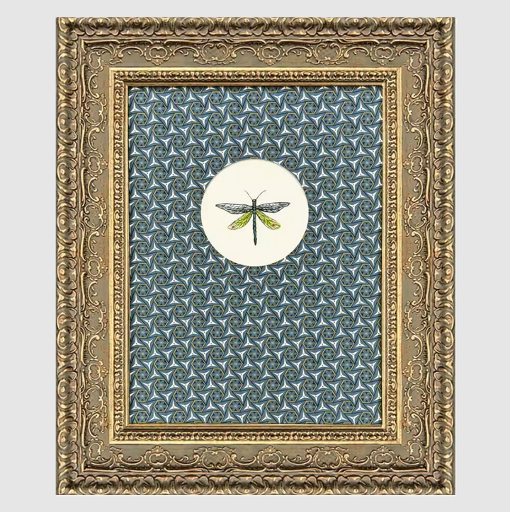 Aflutter II - 13 Hub Lane   |  