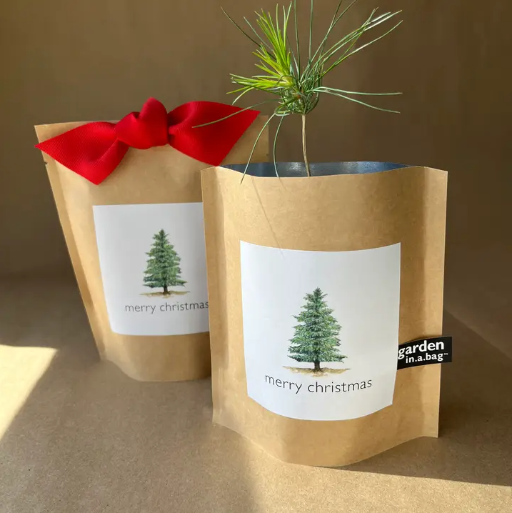 Garden in a Bag, Christmas Tree