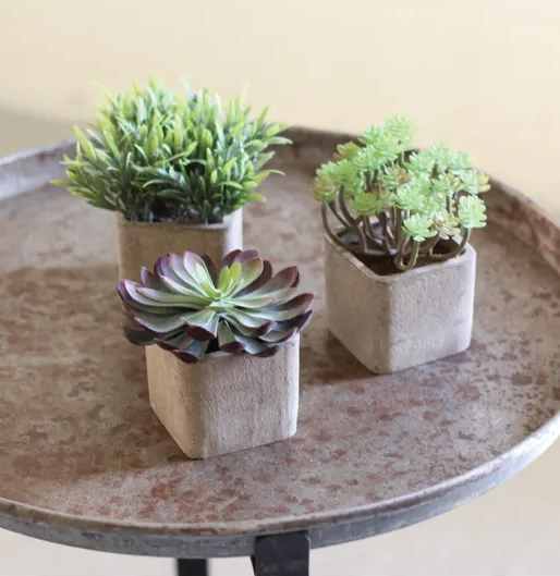 Small Artificial Succulent in a Square Pot - 13 Hub Lane   |  