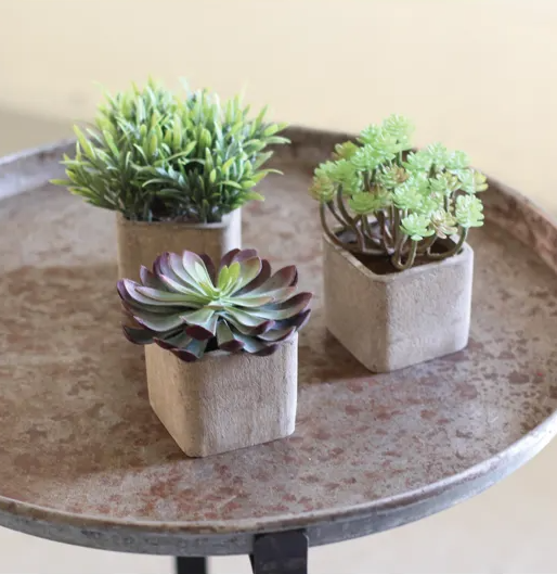 the succulent hub Small Artificial Succulent in a Square Pot