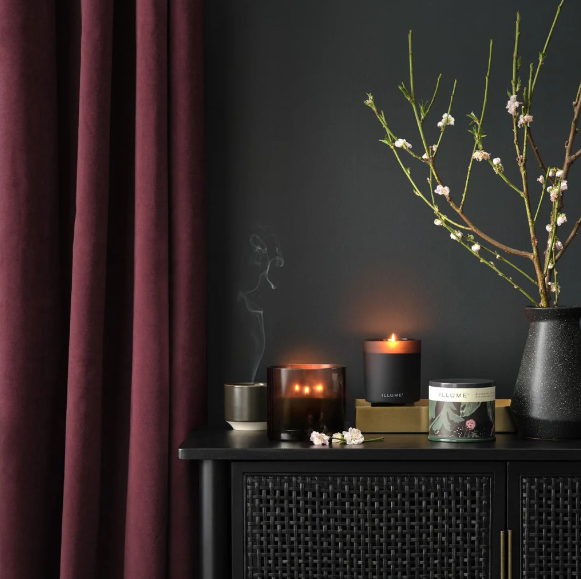 Blackberry Absinthe Baby Boxed Glass Candle - 13 Hub Lane   |  Blackberry Absinthe