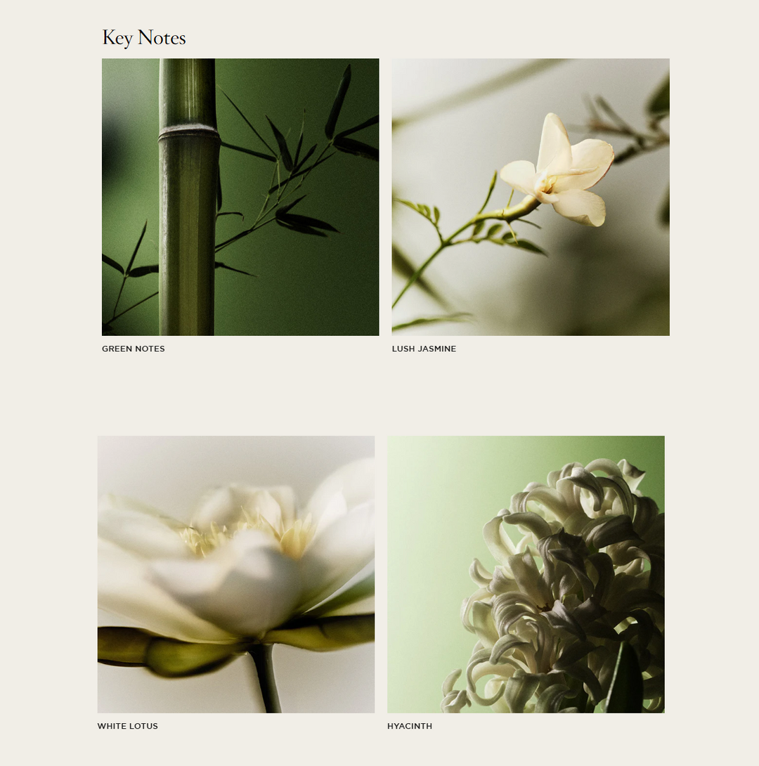 NEST Bamboo Classic Candle