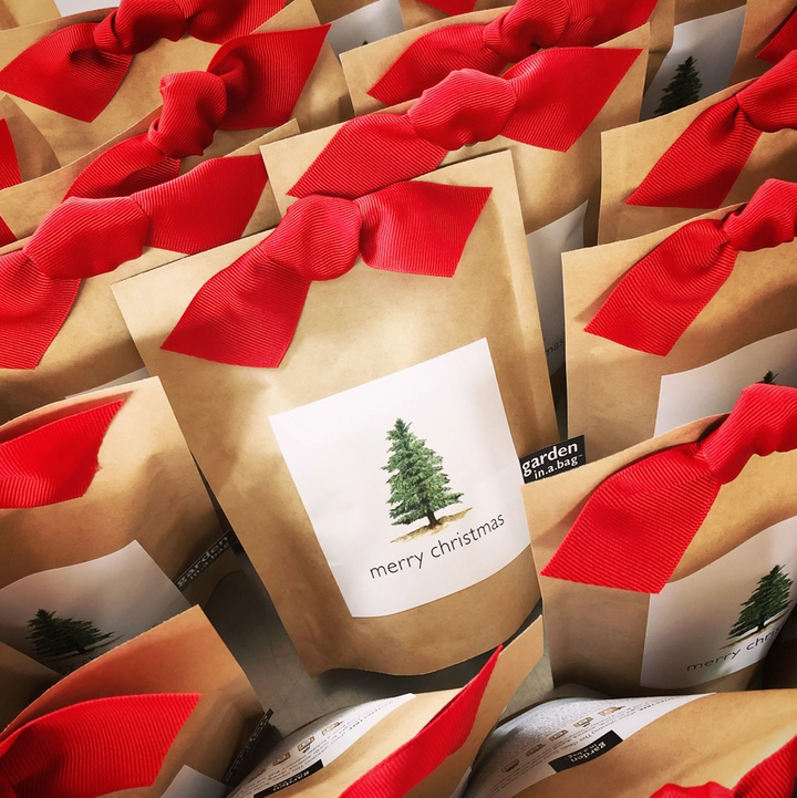 Garden in a Bag, Christmas Tree