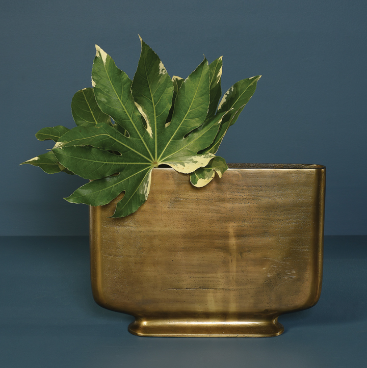 Cecilia Brass Vase - 13 Hub Lane   |  