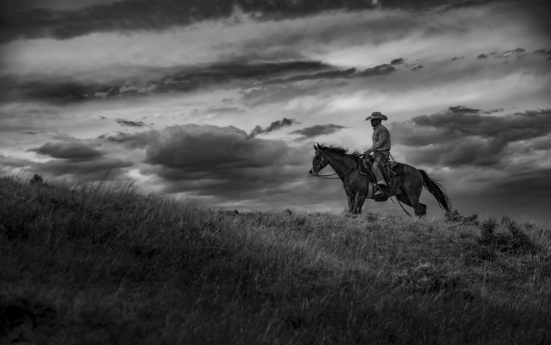 Ranchland: Wagonhound