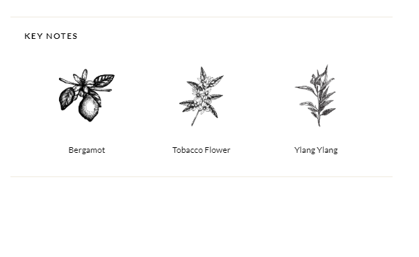 Archipelago Havana Reed Diffuser - 13 Hub Lane   |  Havana