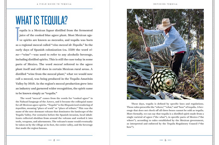 A Field Guide to Tequila - 13 Hub Lane   |  