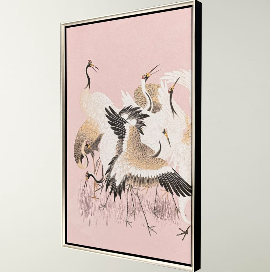 Curious Cranes - Plumule - 13 Hub Lane   |  