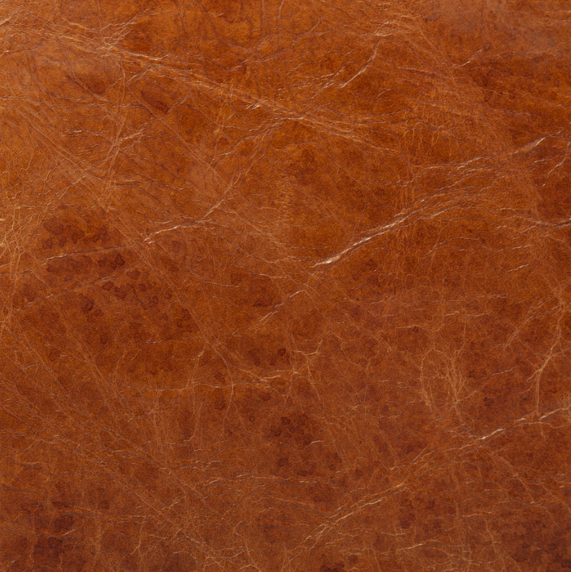 Hornet Accent Chair - 13 Hub Lane   |  Accent Chairs