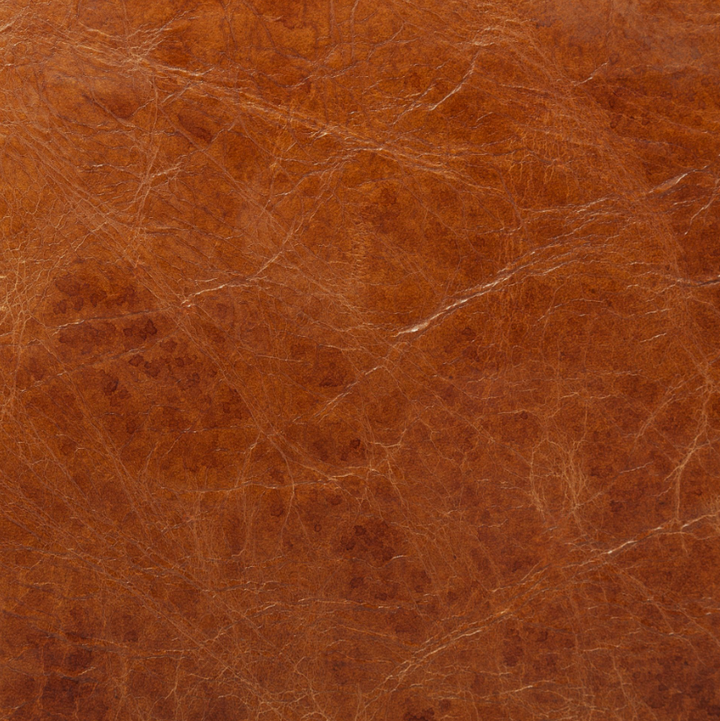 Hornet Accent Chair - 13 Hub Lane   |  Accent Chairs