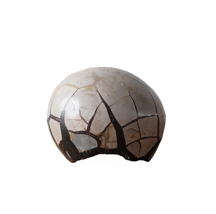 Septarian Dragon Egg