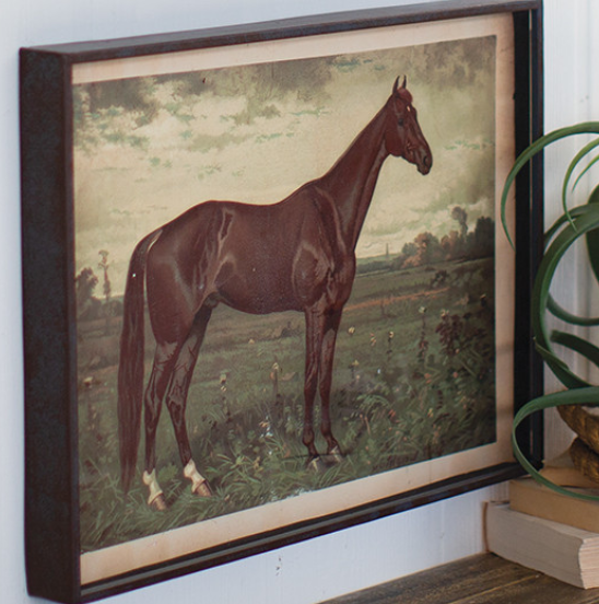 Framed Horse Print, Under Glass - 13 Hub Lane   |  