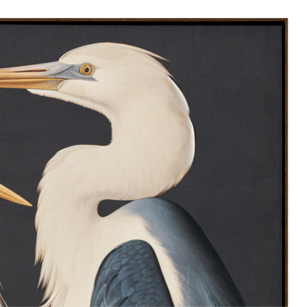 Two Cranes Framed Painting - 13 Hub Lane   |  Canvas Art