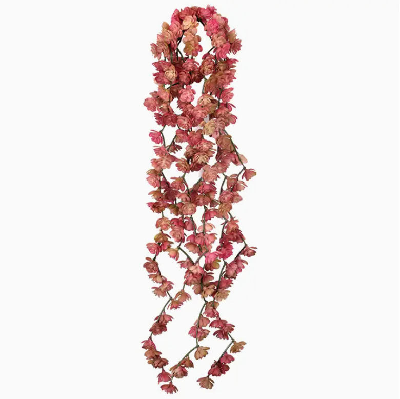 the succulent hub Soft Touch 'Hen & Chick' Fountain Succulent Vine, Pink