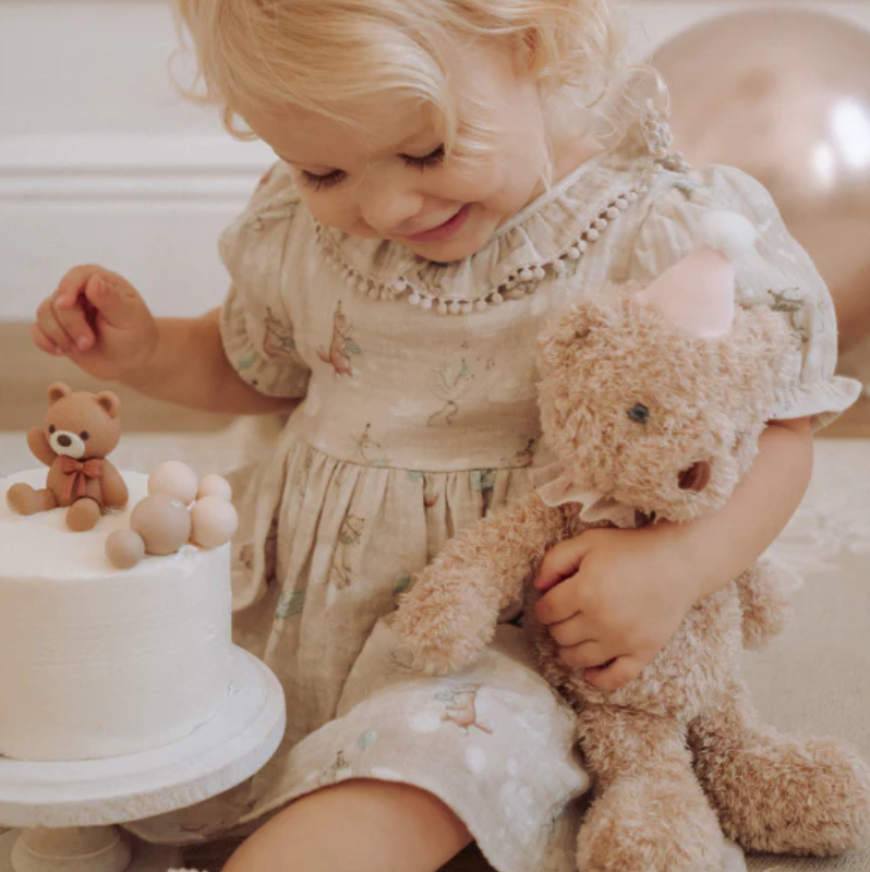 Pink Birthday Bear Plush Toy w/ Gift Box