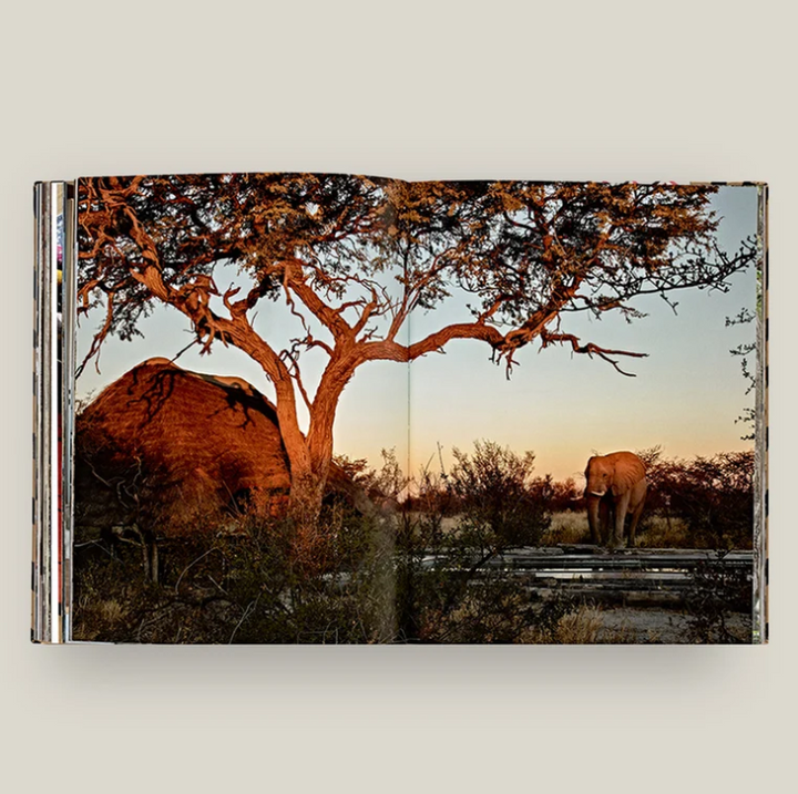 Safari Style