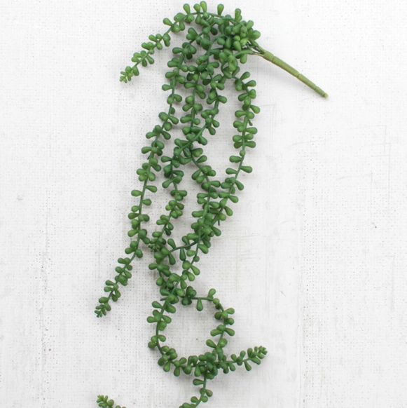 Artificial Necklace Fern Succulent - 13 Hub Lane   |  