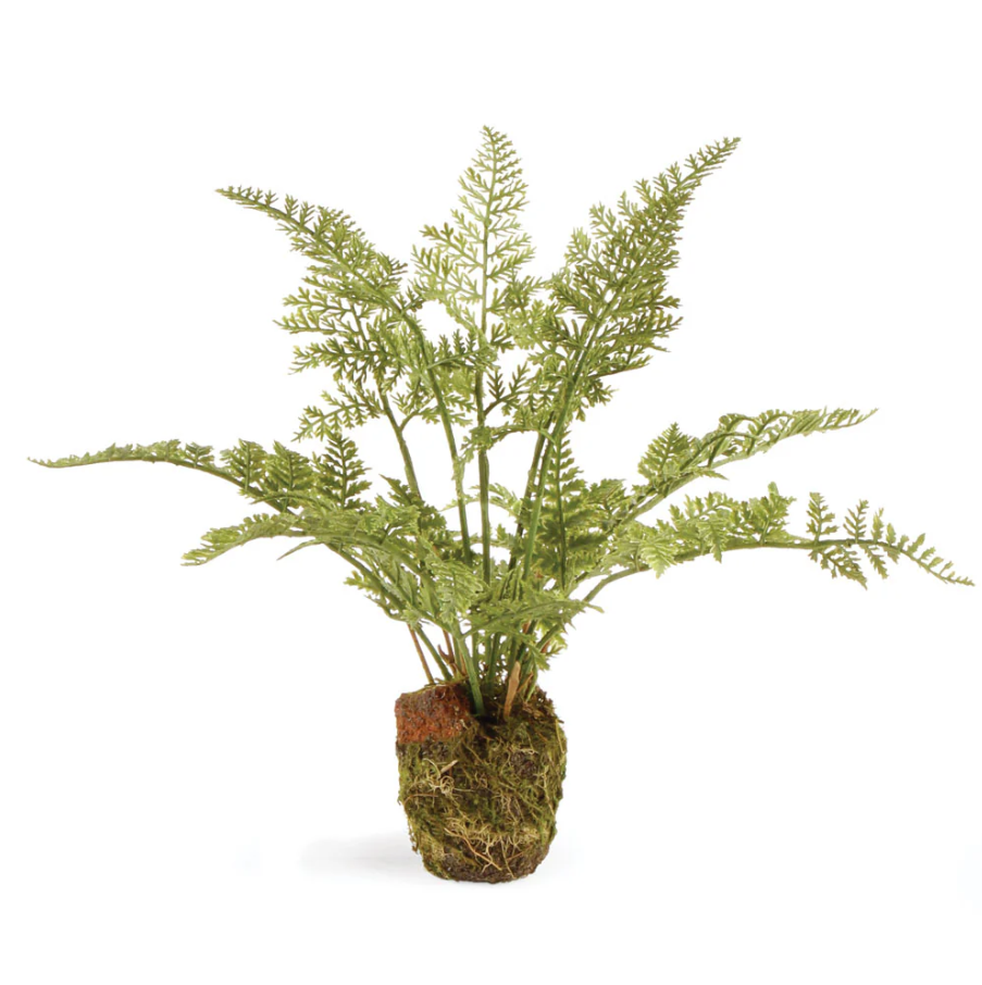 Soft Fern Drop-In - Thumbnail 2