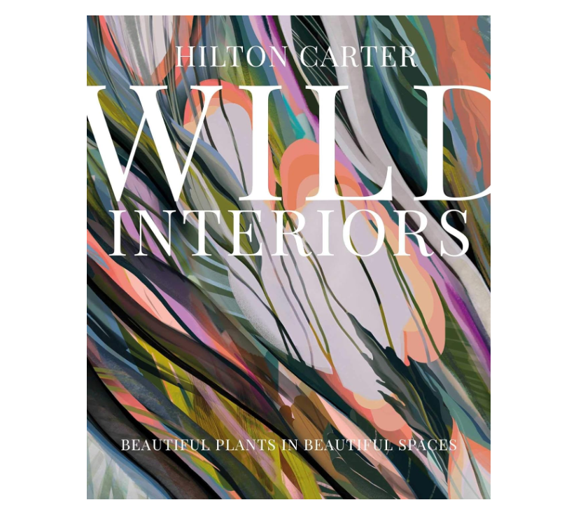 Wild Interiors - 13 Hub Lane   |  