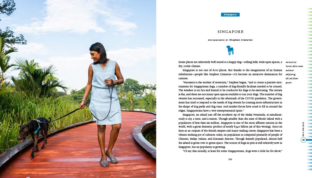 Fifty Places To Travel With Your Dog - 13 Hub Lane   |  