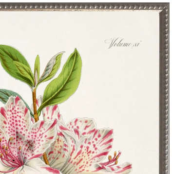 Azalea Plant, Green Mat