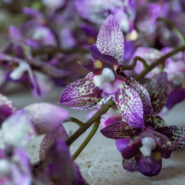 Artificial Onsidium Orchid