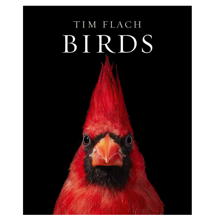 Birds by Tim Flach & Richard O. Prum - 13 Hub Lane   |  