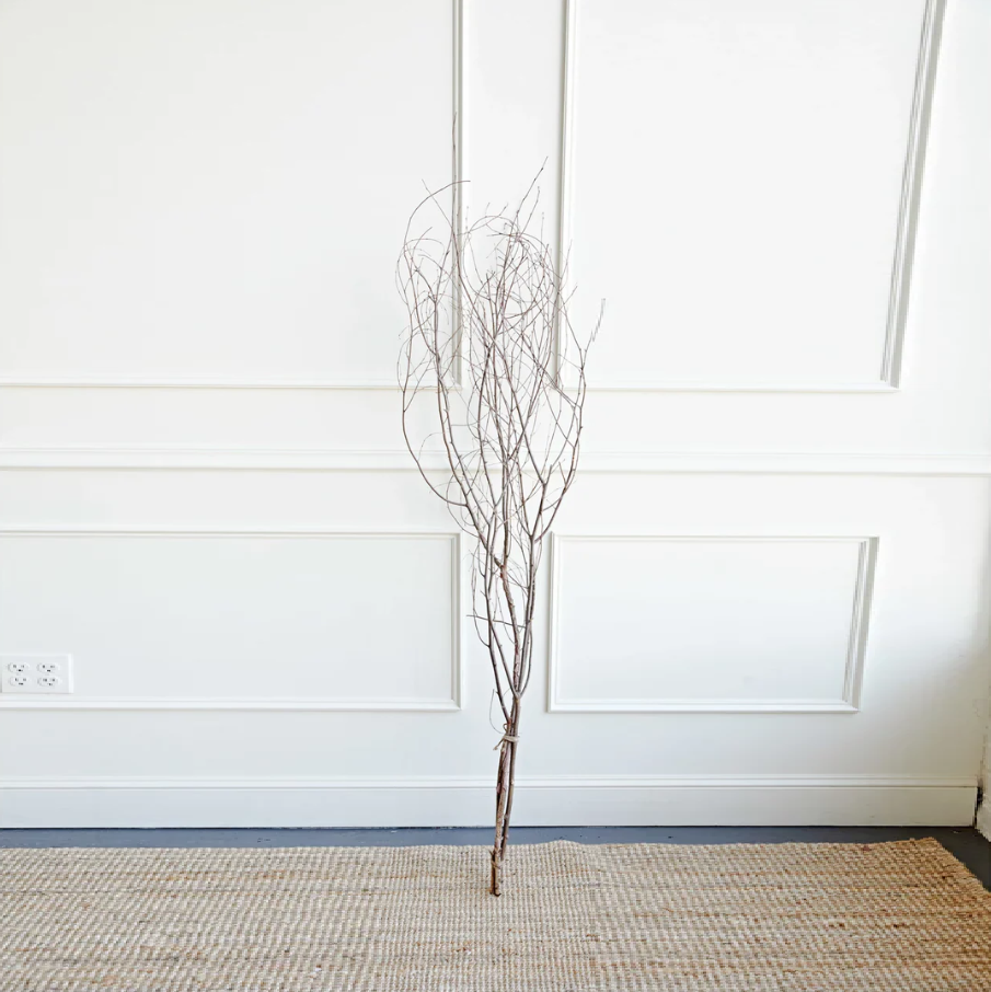Birch Branch Bundle - 13 Hub Lane   |  Botanical Branches