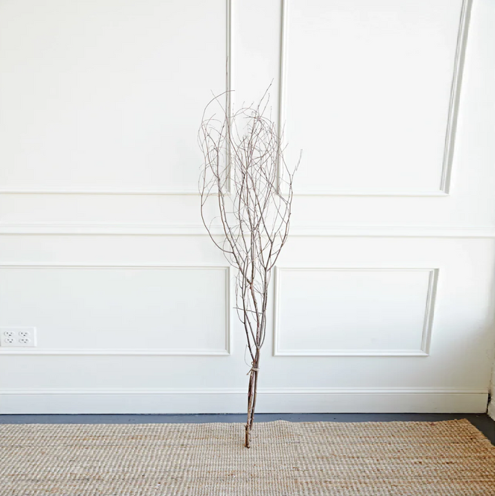 Birch Branch Bundle - 13 Hub Lane   |  Botanical Branches