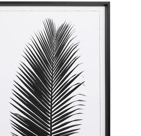 Black Frond I