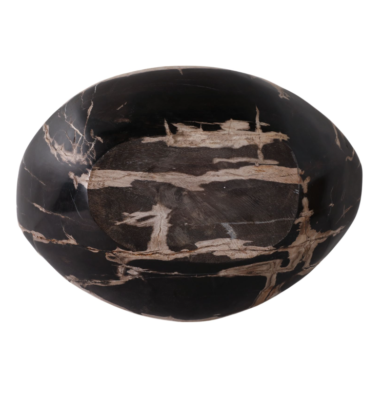 Petrified Wood Oval Bowl