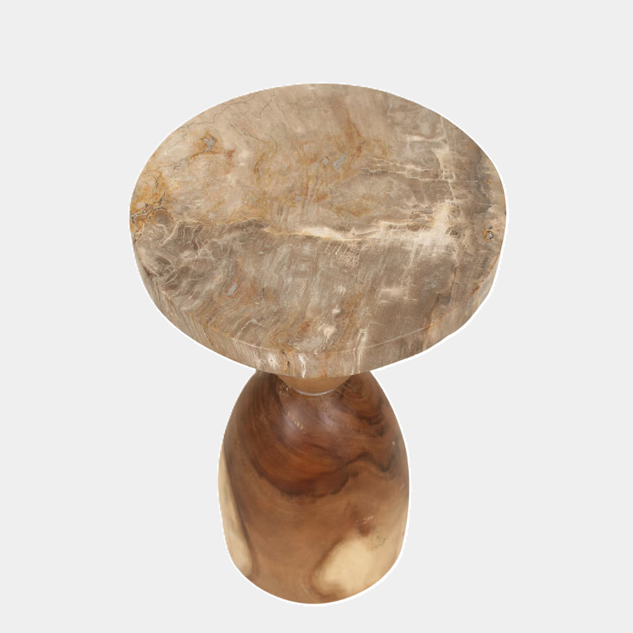 Petrified Wood Top Organic Oval Accent Table - 13 Hub Lane   |  Accent Tables