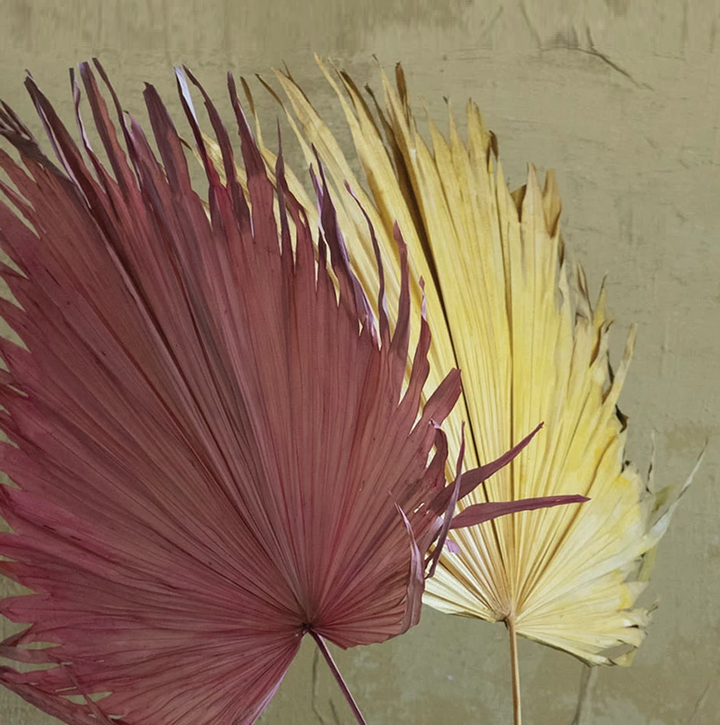 Dried Palm Leaf - 13 Hub Lane   |  Dried Palms