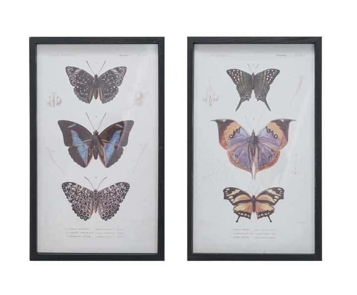 Wood Framed Butterflies Under Glass - 13 Hub Lane   |  