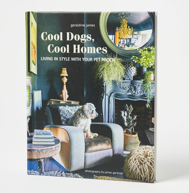Cool Dogs, Cool Homes: Living in Style With Your Dog