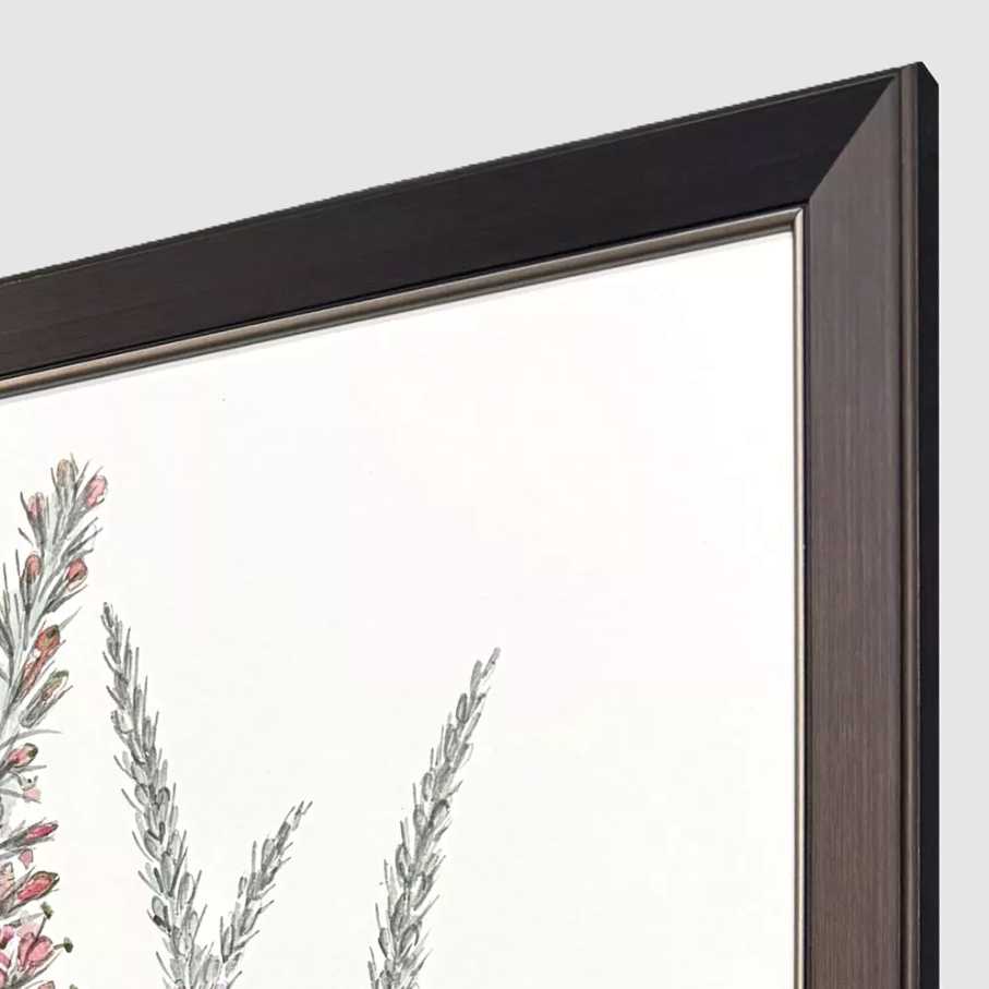 Pink Veronique II - 13 Hub Lane   |  