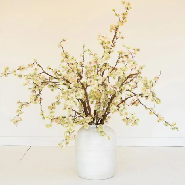 Botanica #2850