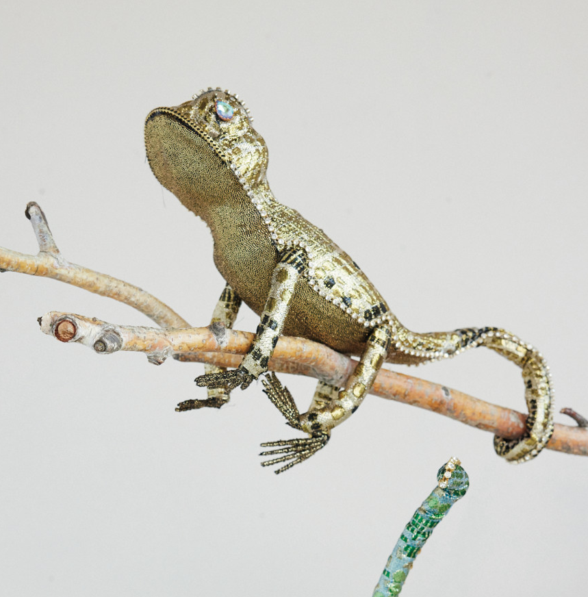 Jewel-Adorned Lizard