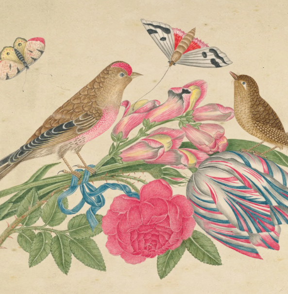 Birds & Blooms Bookplate O