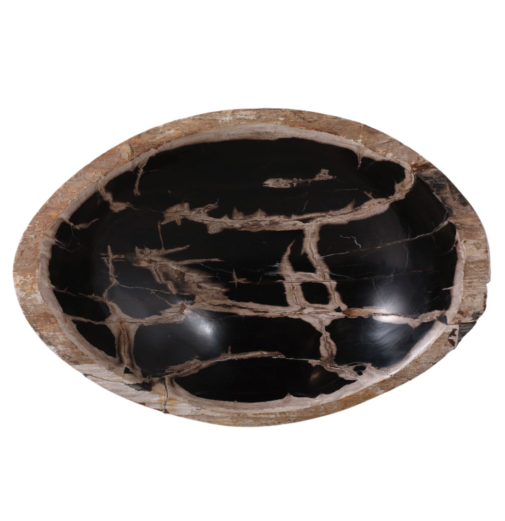 Petrified Wood Oval Bowl