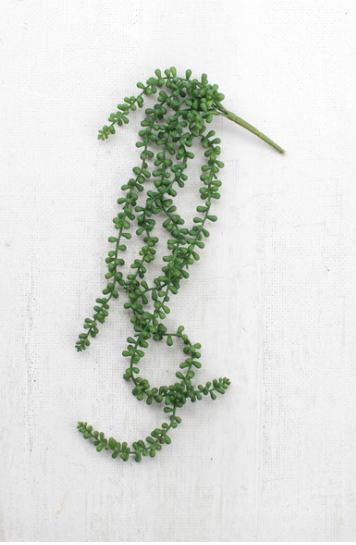 Artificial Necklace Fern Succulent - 13 Hub Lane   |  