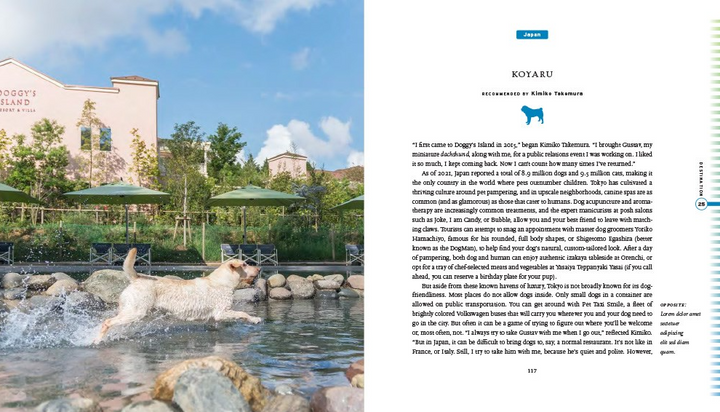 Fifty Places To Travel With Your Dog - 13 Hub Lane   |  