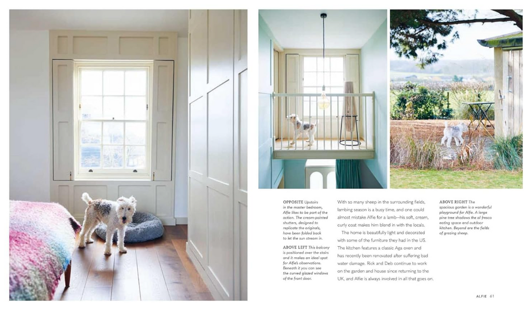 Cool Dogs, Cool Homes: Living in Style With Your Dog