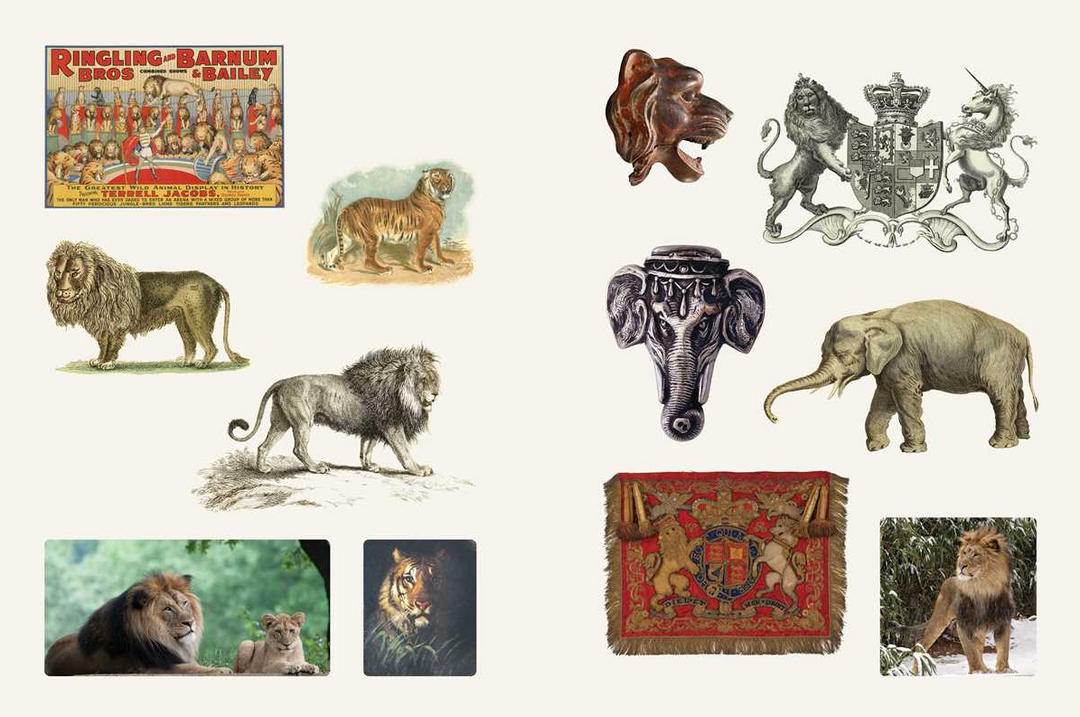 Cabinet of Curiosities II By Smithsonian Institution