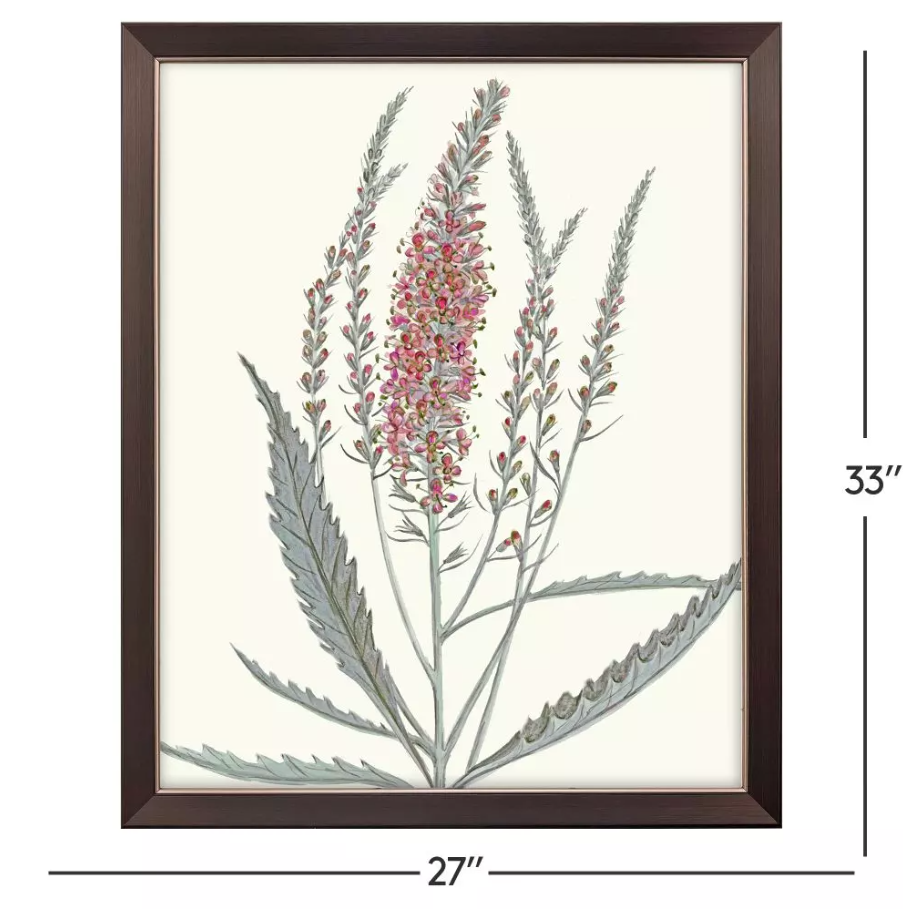 Pink Veronique II - 13 Hub Lane   |  