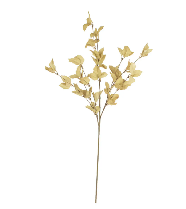 Botanica #9038