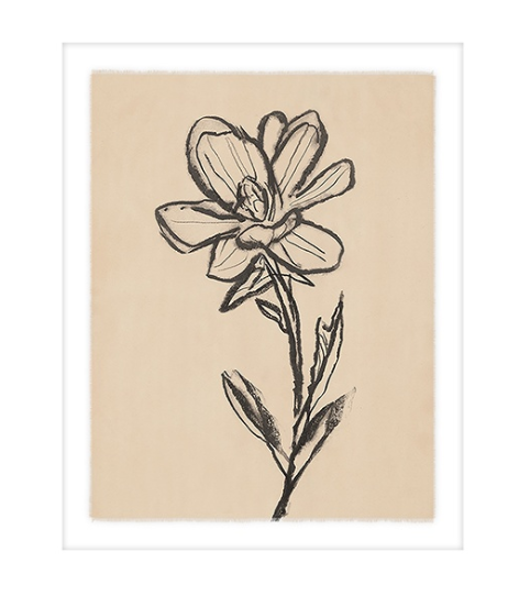 Floriculture II - 13 Hub Lane   |  Under Glass Prints & Art