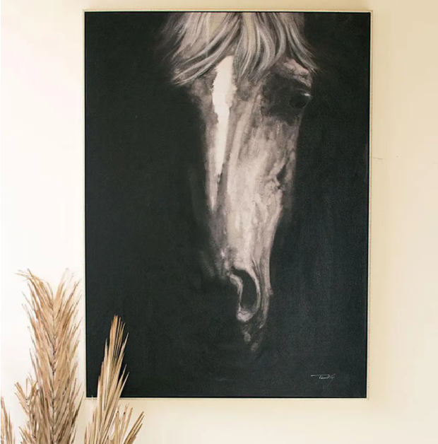 Black & White Front View Horse